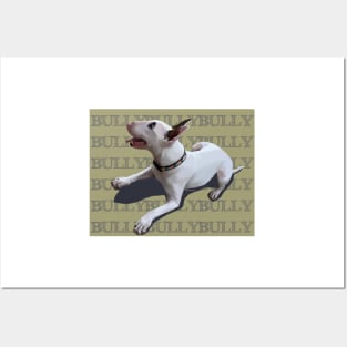 BULLYBULLYBULLY on opaque background Posters and Art